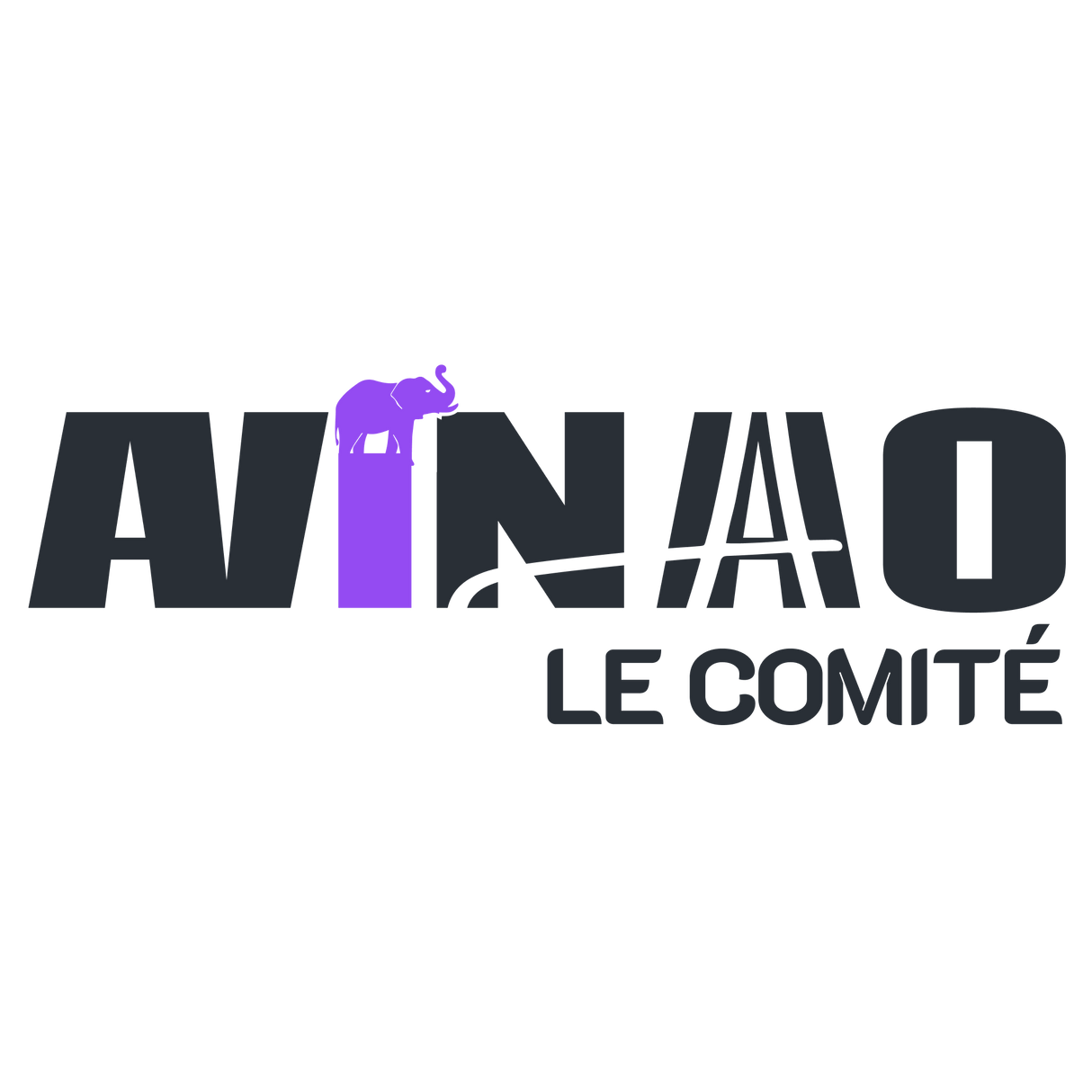 Programme pour le Comité Avinao