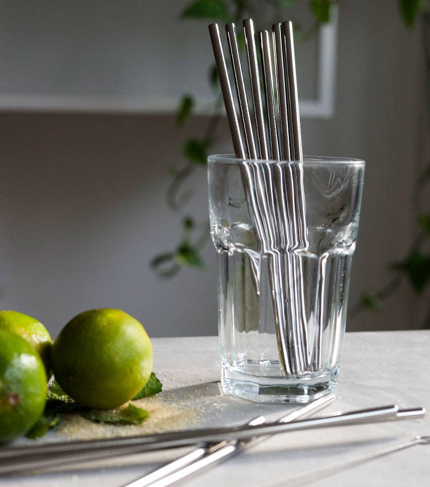 Pack of 10 reusable stainless steel straws