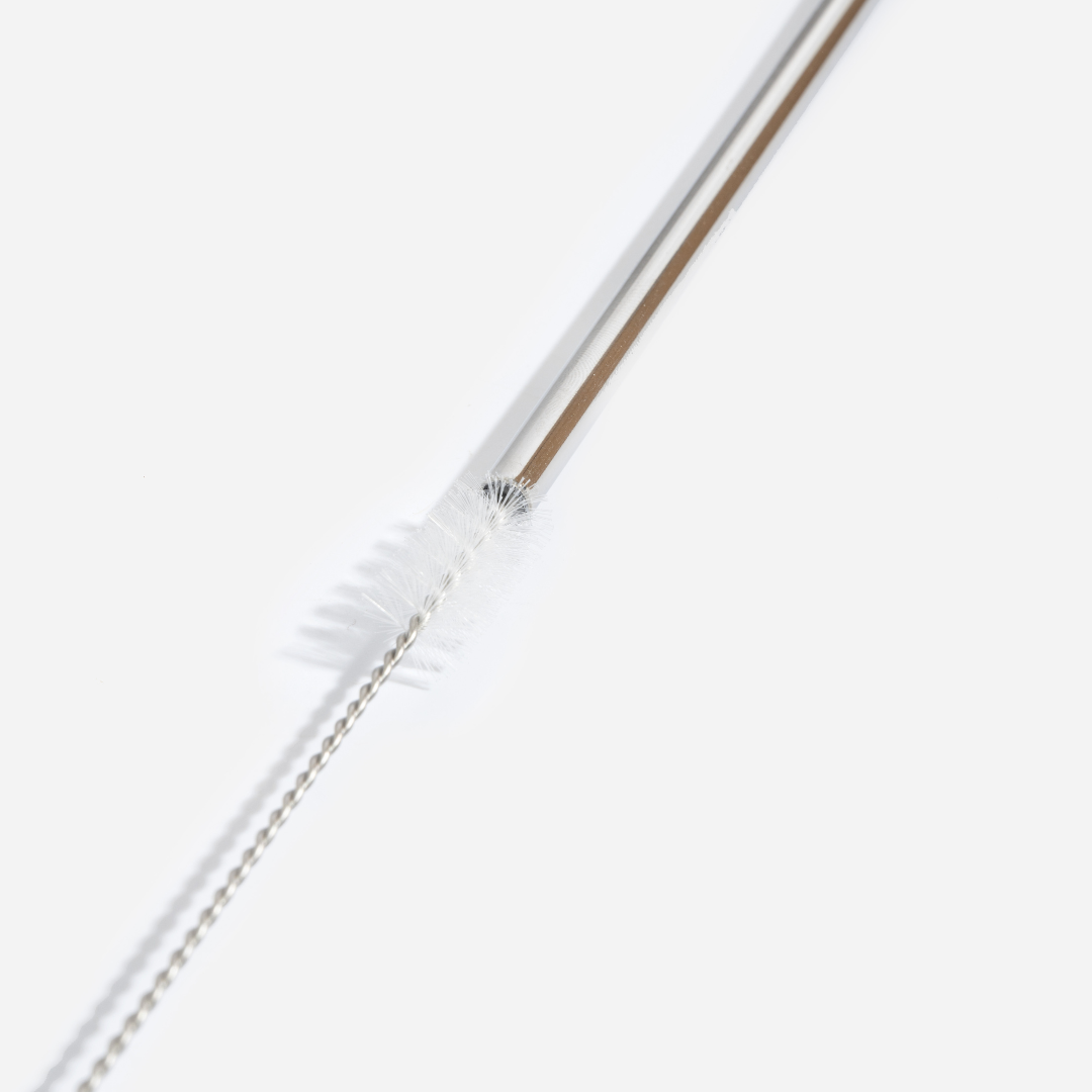 Pack of 10 reusable stainless steel straws